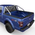 Picture of EGR 15-20 Ford F-150 S-Series Polished Stainless Sports Bar