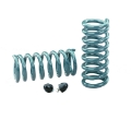 Picture of Hotchkis 67-72 GM A-Body - 78-88 GM A-G Body Rear Performance Coil Springs