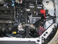 Picture of K&N 10 Ford Focus L4-2-0L Typhoon Short Ram Intake