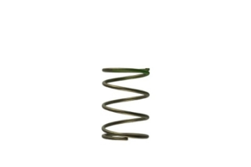 Picture of Turbosmart Gen-V WG45-50 7psi Green Middle Spring