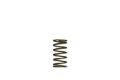 Picture of Turbosmart WG60 Gen-V 3psi Inner Spring