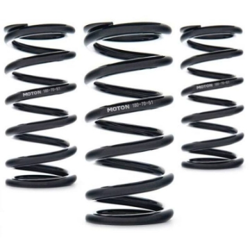 Picture of AST Linear Race Springs - 140mm Length x 90 N-mm Rate x 61mm ID - Single