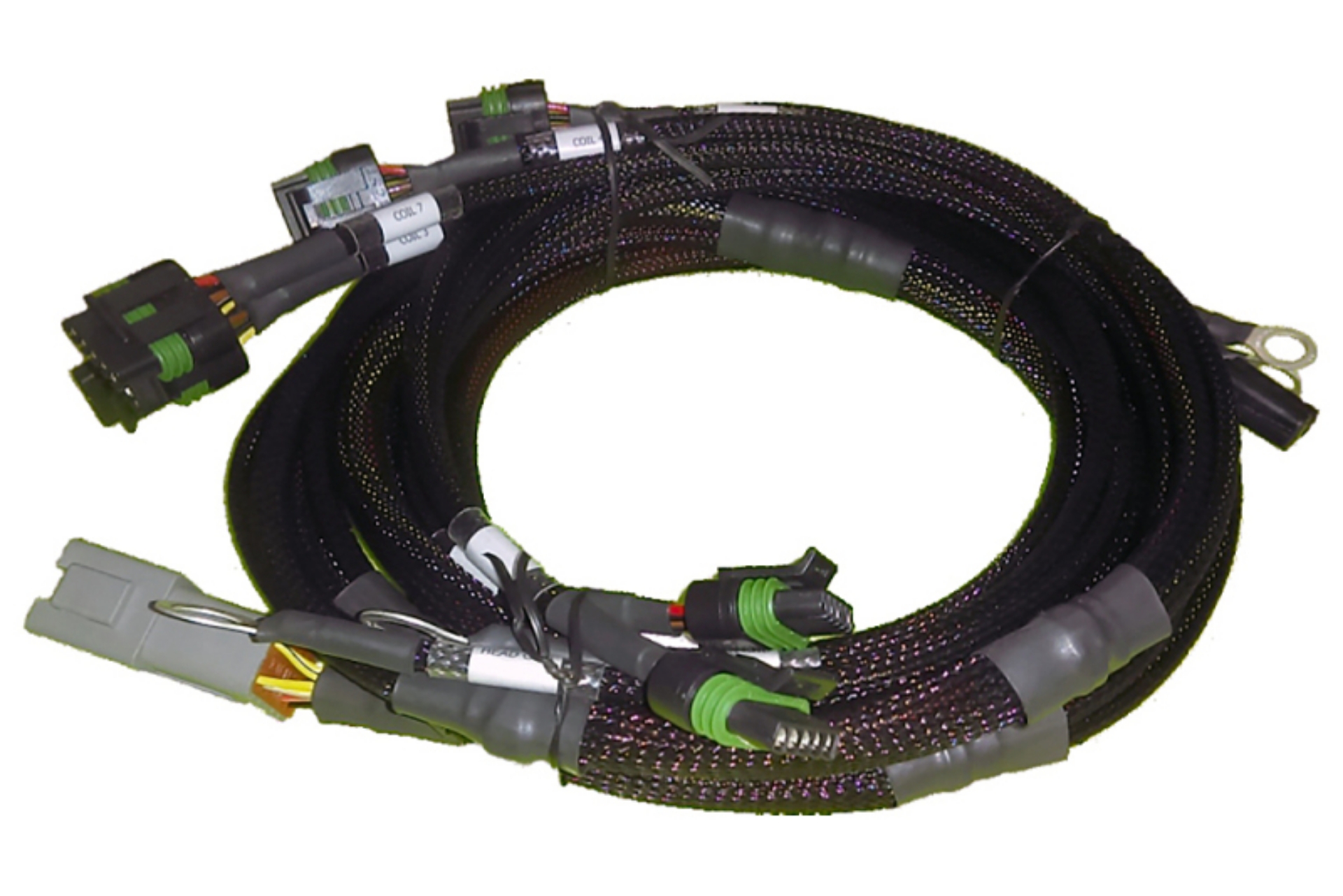 Picture of Haltech V8 BB-SB GM-Chrysler Hemi V8 8 Channel Individual High Output IGN-1A Inductive Coil Harness