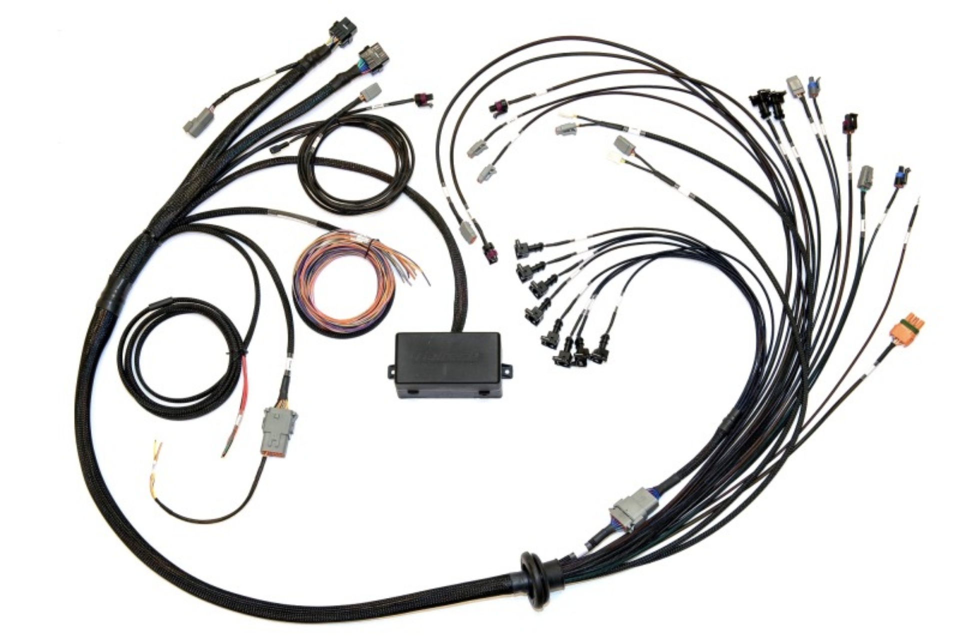 Picture of Haltech V8 Big-Small Block GM-Ford-Chrysler Elite 2000-2500 Terminated Harness w-EV1 Inj Connectors