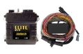 Picture of Haltech Elite 750 Premium Universal Wire-In Harness ECU Kit