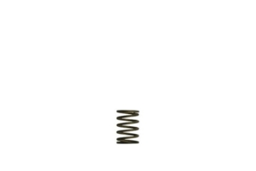 Picture of Turbosmart Gen-V WG38-40 3psi Black Inner Spring