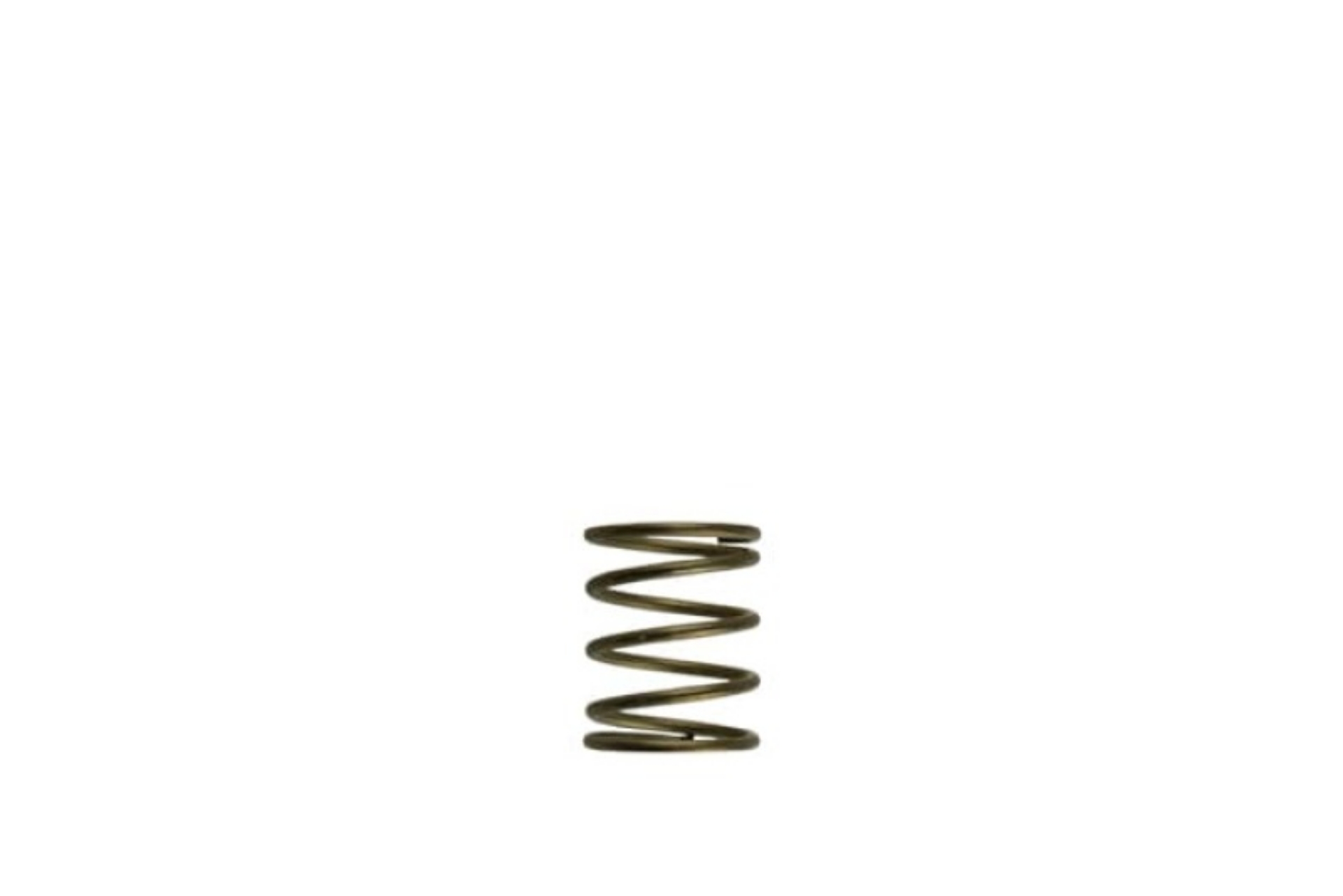 Picture of Turbosmart Gen-V WG45-50 3psi Orange Inner Spring