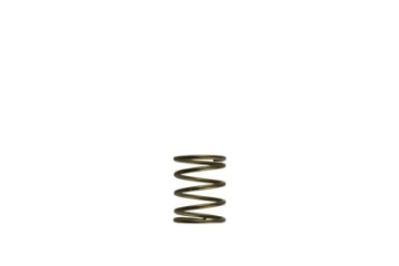 Picture of Turbosmart Gen-V WG45-50 3psi Orange Inner Spring