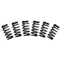 Picture of BD Diesel Valve Spring Kit 60lb Cummins 5-9 12-valve