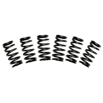 Picture of BD Diesel Valve Spring Kit 60lb Cummins 5-9 12-valve