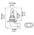 Picture of Hella 9005-HB3 12V 100W P20d T4 Halogen Bulb