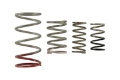 Picture of Turbosmart Gen V IWG Spring Replacement Kit