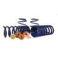 Picture of Ford Racing 15-22 Mustang Track Lowering Spring Kit