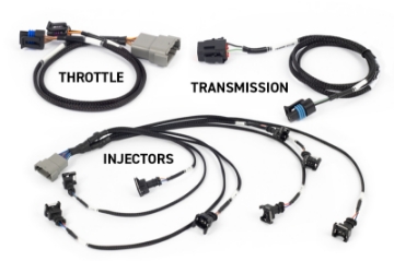 Picture of Haltech NEXUS Rebel LS Gen III Cable Throttle-EV1 Injectors-Manual Transmission