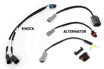 Picture of Haltech NEXUS Rebel LS Gen III Cable Throttle-EV1 Injectors-Manual Transmission