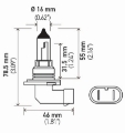 Picture of Hella Bulb 9006-Hb4 12V 55W P22D T4 Sb